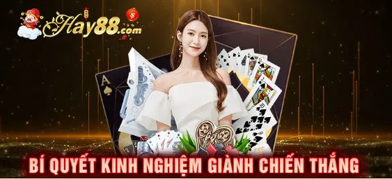 Kinh nghiệm chơi Rồng Hổ tại HAY88