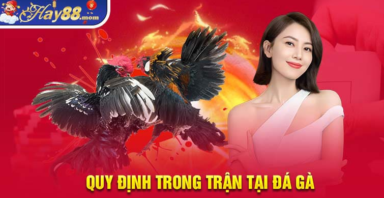 Quy định trong đá gà Hay88