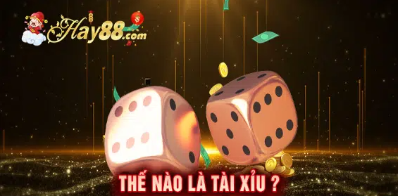 Tổng quan về tài xỉu Hay88