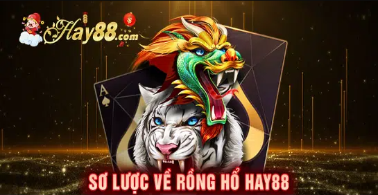 Tổng quan về Game Rồng Hổ tại Hay88